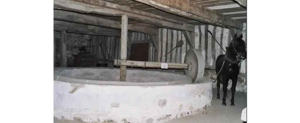 Tour à piler à Montaure – un cheval faisait tourner la roue en pierre. (Photo Alexandre Vernon © Patrimoine Normand)