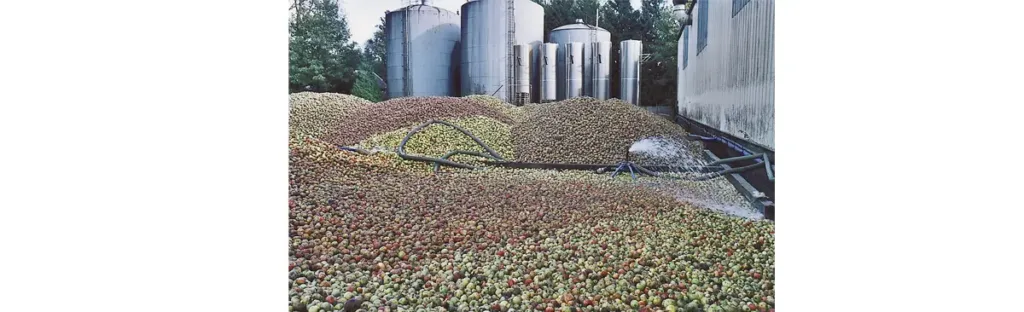 Une sélection rigoureuse des pommes et un lavage au grand jet, devant les bacs à cidre. (Photo Alexandre Vernon © Patrimoine Normand)