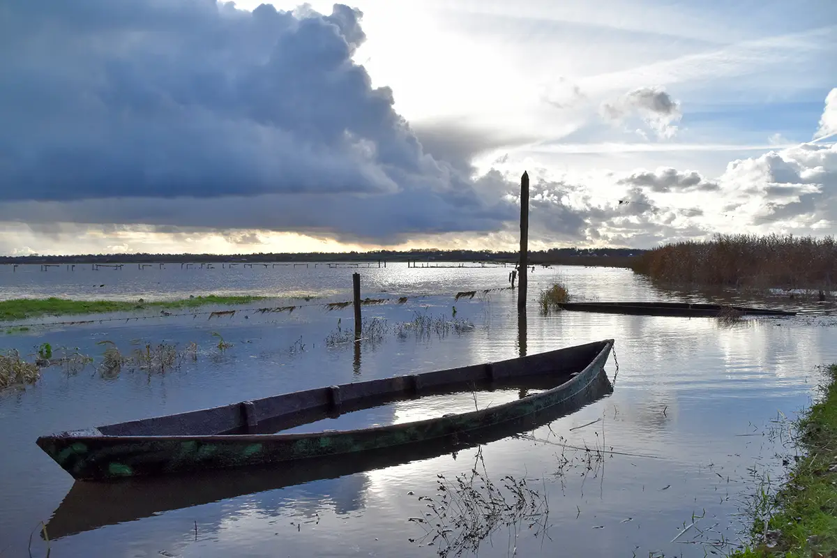 Les marais de Carentan