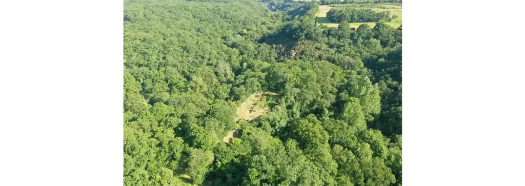 Vestiges de la motte castrale d’Olivet, à Grimbosq.