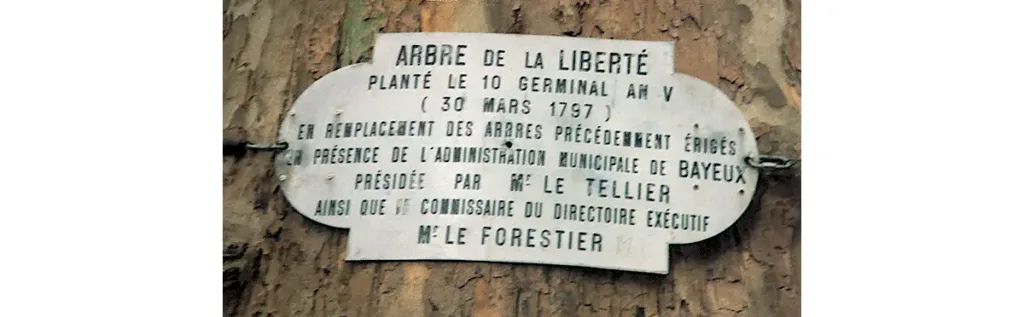 La plaque apposée sur l'arbre.