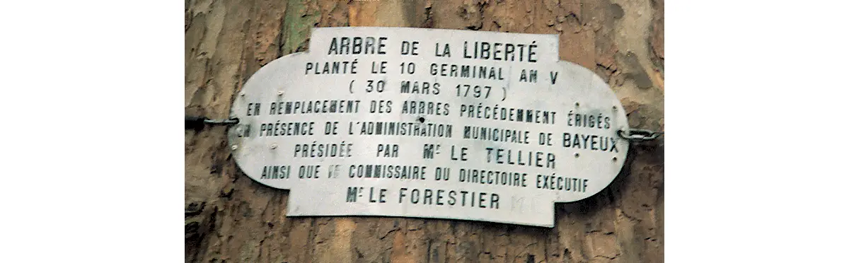 La plaque apposée sur l'arbre.