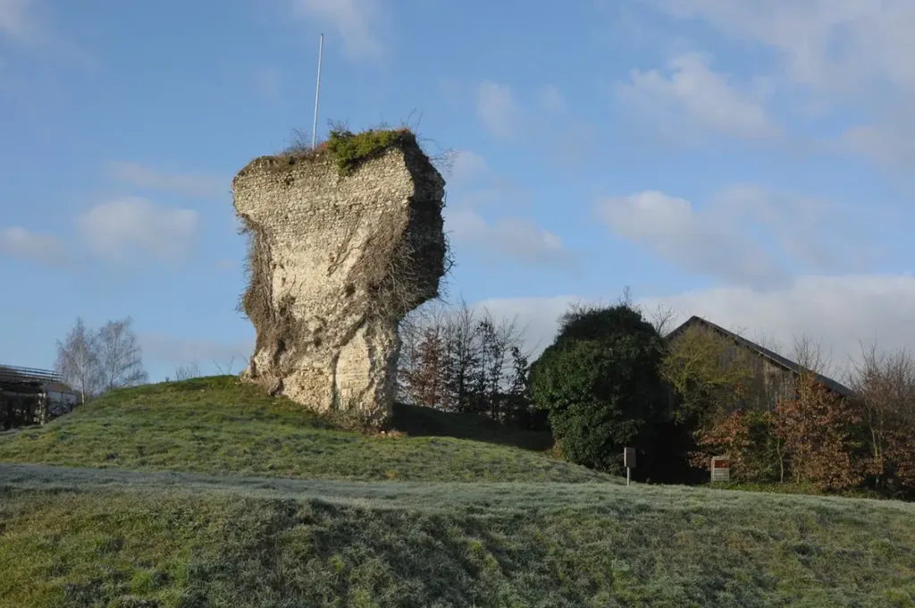 Les ruines du château médiéval de Blangy-le-Château. Le donjon, rectangulaire, ressemblait à celui du château de Falaise, en plus réduit.