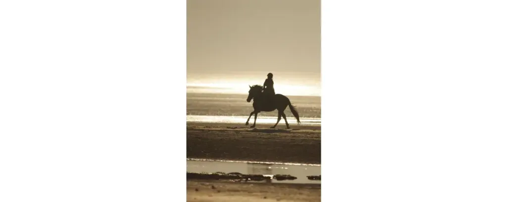 Le cheval est la plus noble conquête de l’homme.