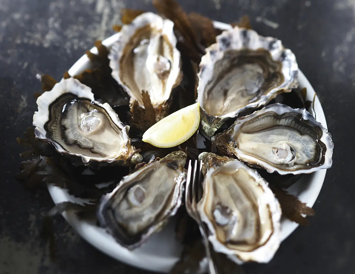 L&rsquo;huître de Normandie – Pour les fêtes de fin d&rsquo;année, dégustez normand !