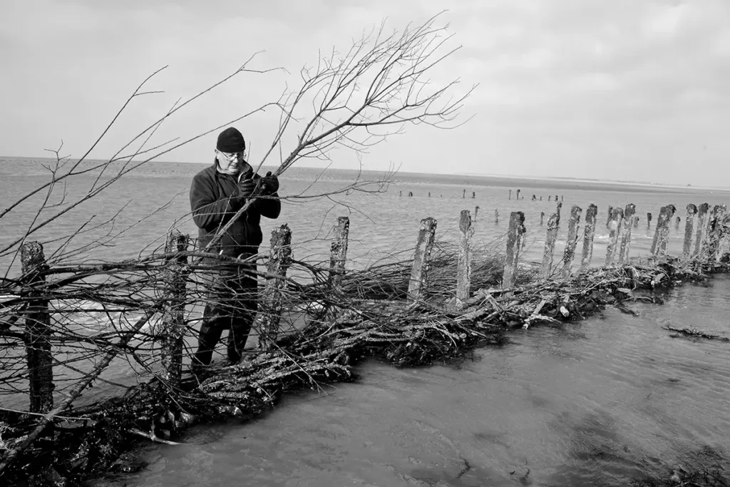Jean-Claude Lepeu tresse les pannes de La Maillard avec des branches de saule, un geste d’entretien traditionnel réalisé chaque hiver.