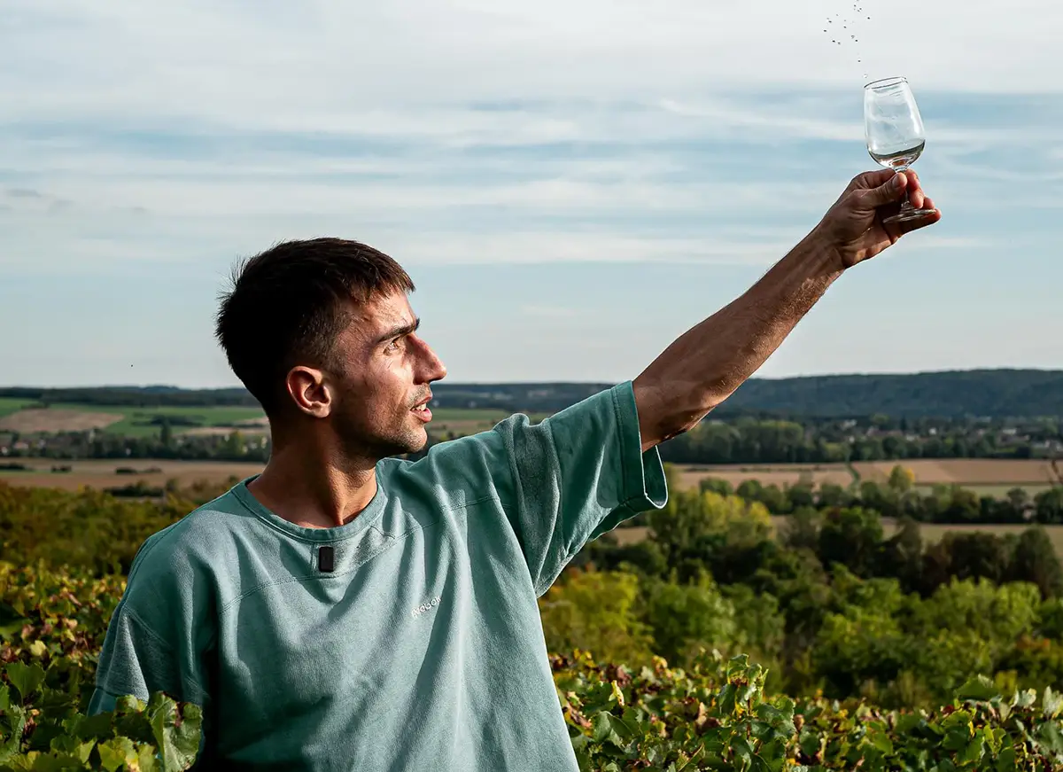 Renaissance du vin en Normandie